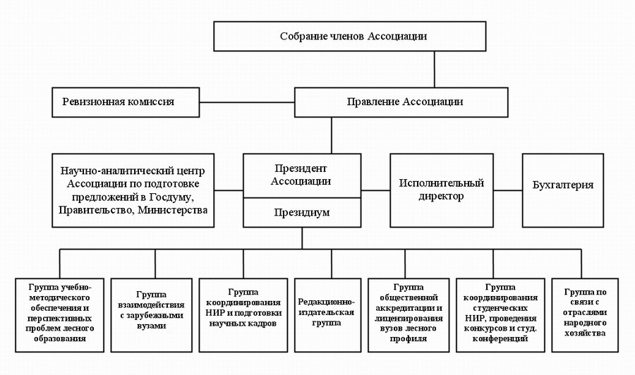 Структура некоммерческой организации схема