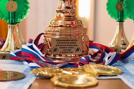 3 место Кубок Всемирной федерации боевого самбо (WCSF)